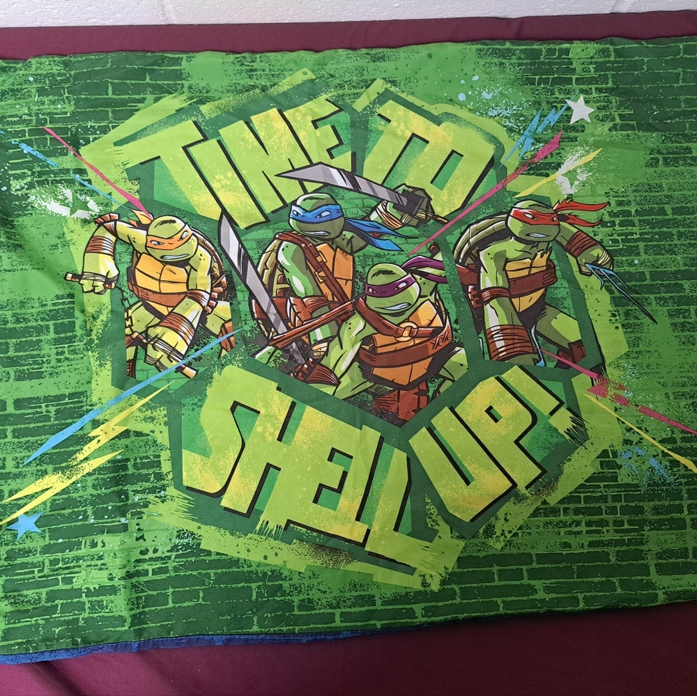 2pc Set TMNT Time To Shell Up Standard Size Pillowcases - Picture 2 of 5